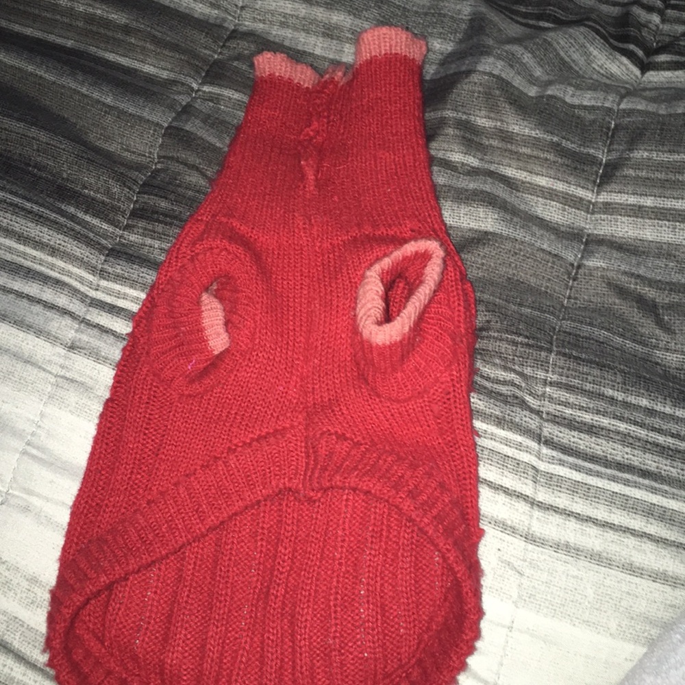 A dog sweater
